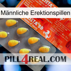 Männliche Erektionspillen new01